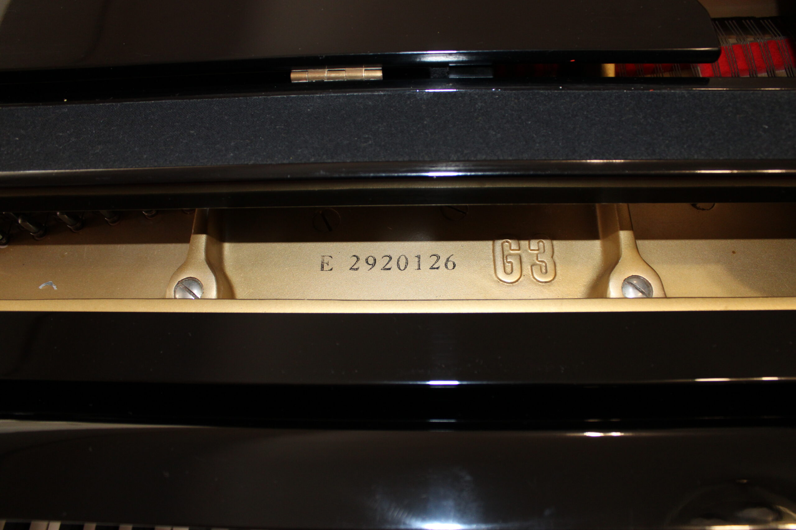 Detalle tapa Yamaha G3