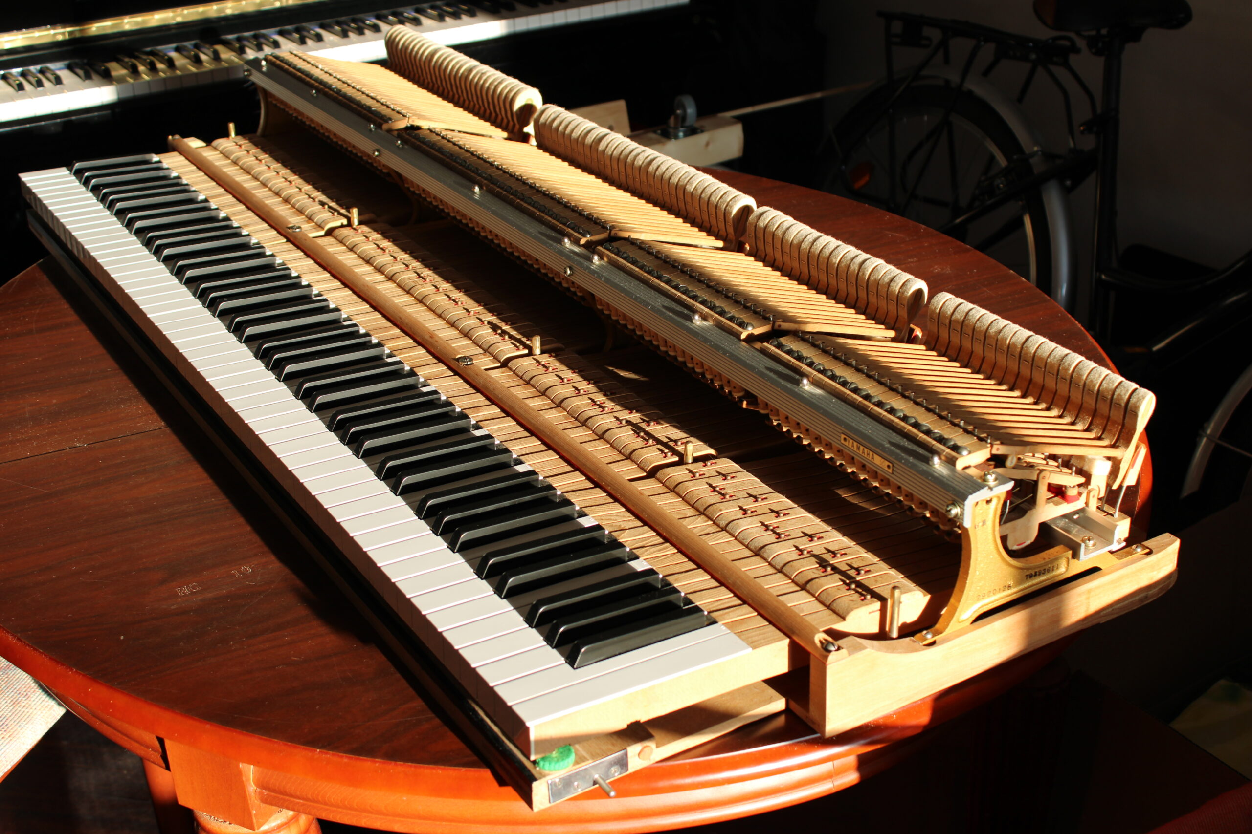 Bordones nuevos Yamaha G3