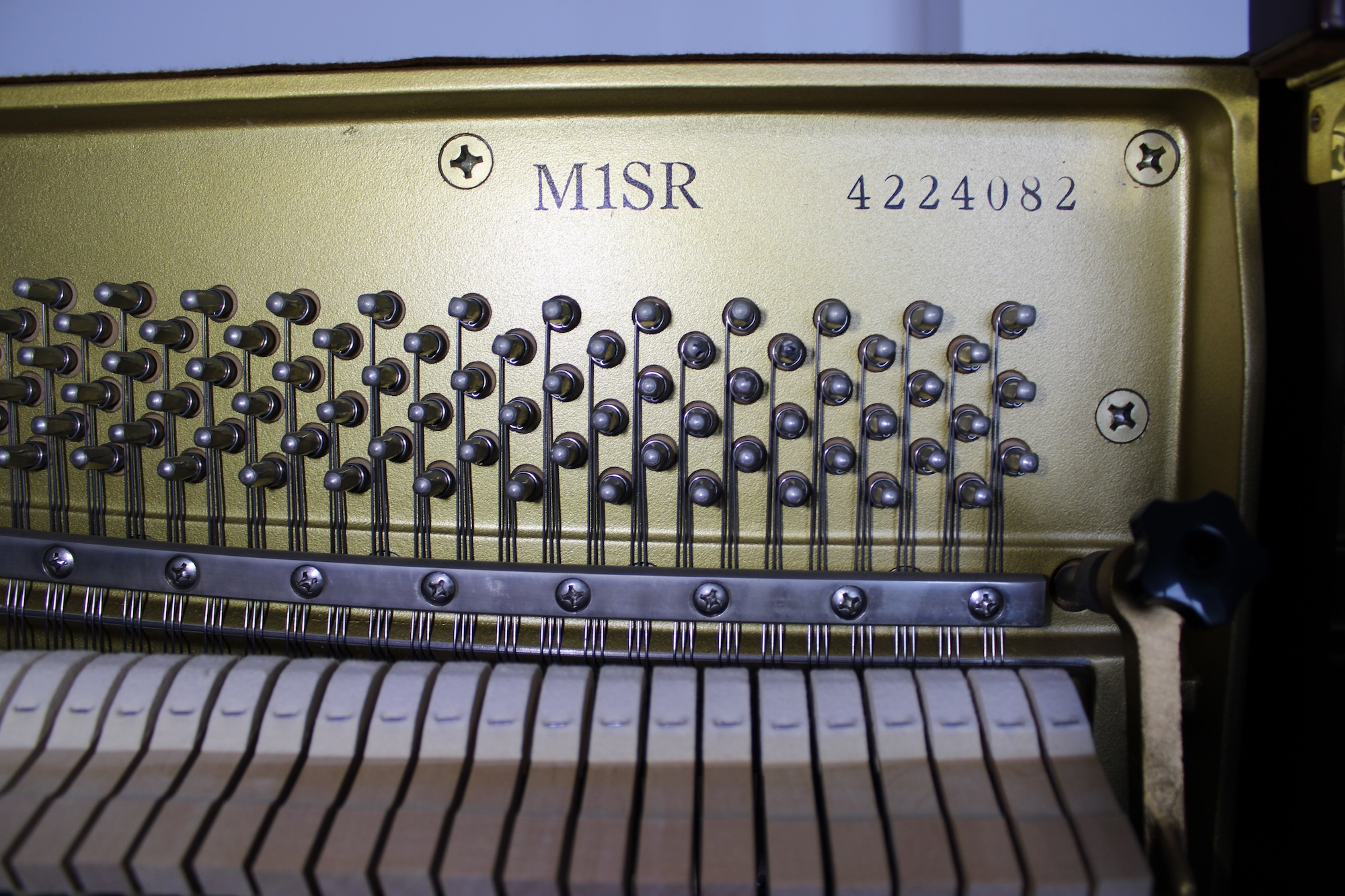 Interior Yamaha M1SR