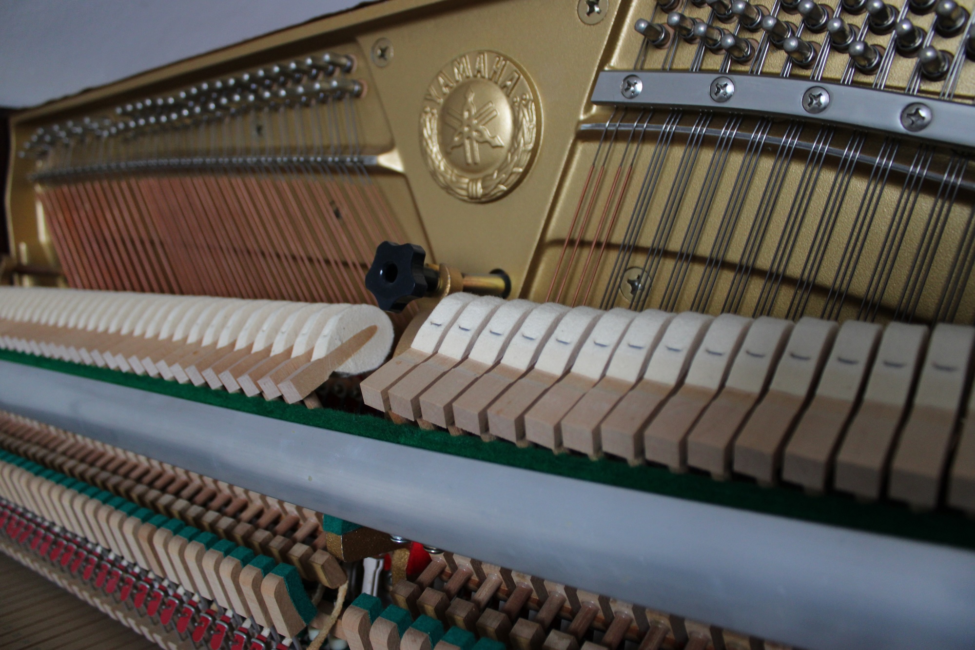 Mecánica Yamaha M1SR